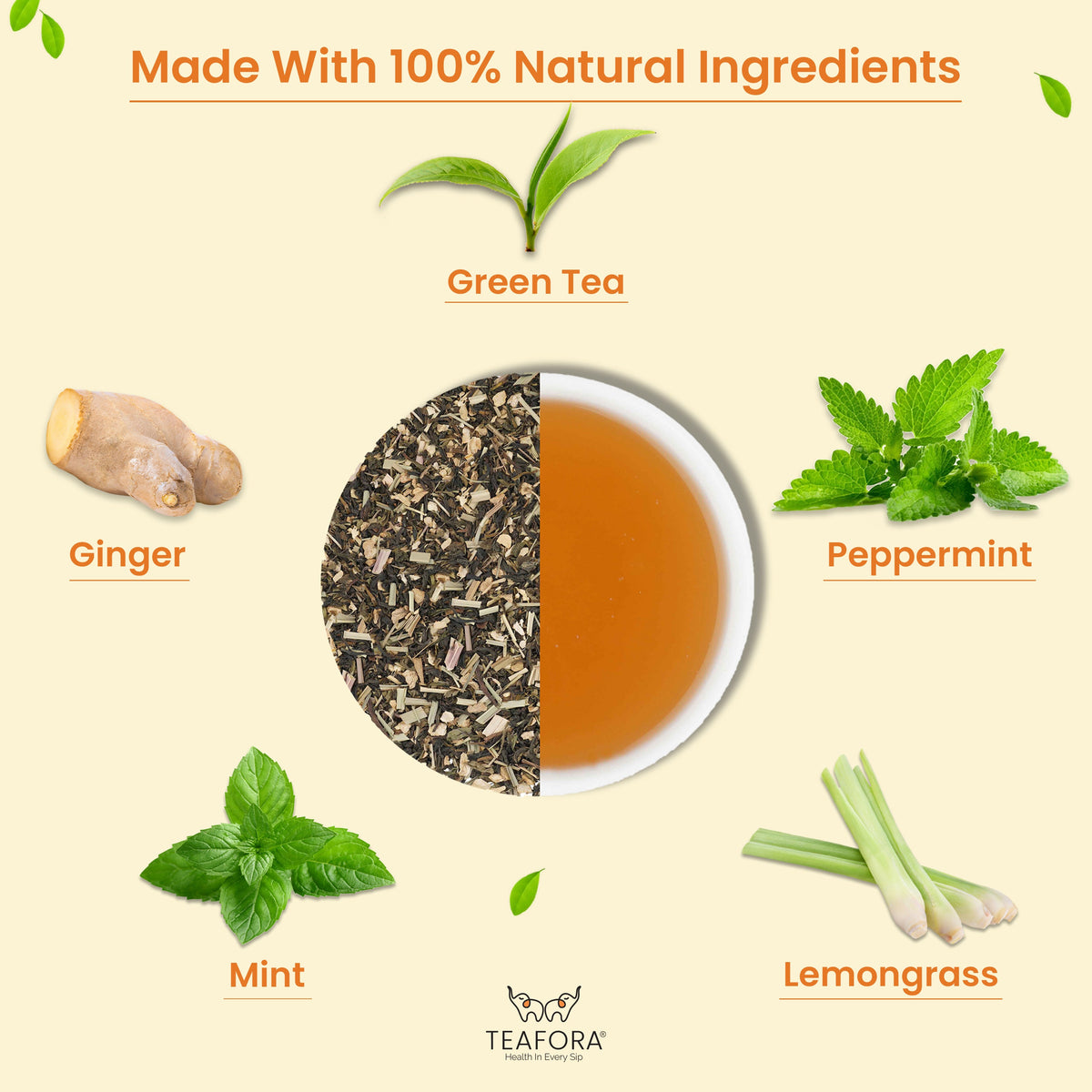 Image 3 of TEAFORA Ginger Mint Green Tea | Relaxing & Calming | Premium Darjeeling Loose Leaf | Immune Support Tea for Daily Wellness | 50 Cups Hot Tea or Iced Tea