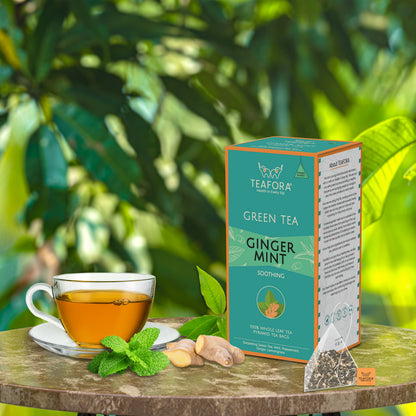 Image 2 of TEAFORA Ginger Mint Green Tea | 20 Count Pyramid Tea Bags