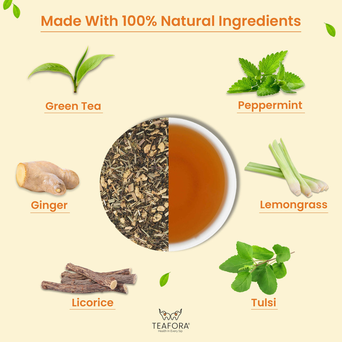 Image 3 of TEAFORA Ginger Tulsi Green Tea | Darjeeling Loose Leaf | Indian Superfoods Ginger, Tulsi & Licorice | Relieves Stress & Aids Digestion | Brew Hot or Iced Tea