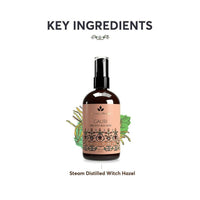 https://cdn.shopify.com/s/files/1/1857/6931/files/GT0T70jVoD-436403.jpg?v=1736150356