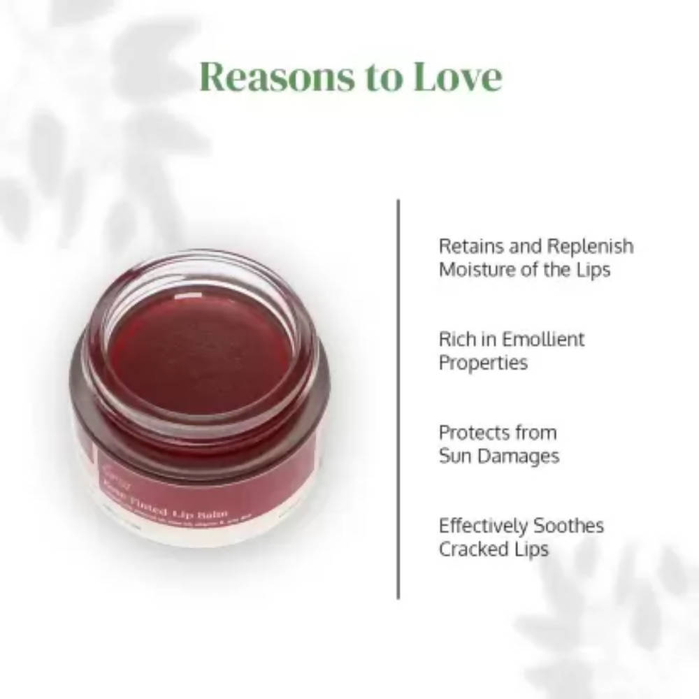https://cdn.shopify.com/s/files/1/1857/6931/products/GTyVOZvIxb.jpg?v=1649322845