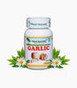 https://cdn.shopify.com/s/files/1/1857/6931/products/GUl2WrQNRQ.jpg?v=1759356057