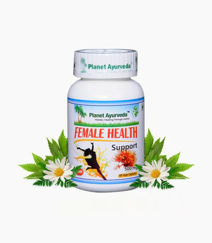 https://cdn.shopify.com/s/files/1/1857/6931/products/GV6yf5MmYk.jpg?v=1762350858