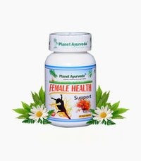 https://cdn.shopify.com/s/files/1/1857/6931/products/GV6yf5MmYk.jpg?v=1762350858
