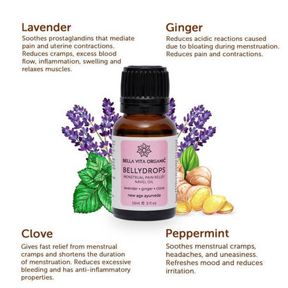 https://cdn.shopify.com/s/files/1/1857/6931/products/GXbLp0rVCc.jpg?v=1625797805