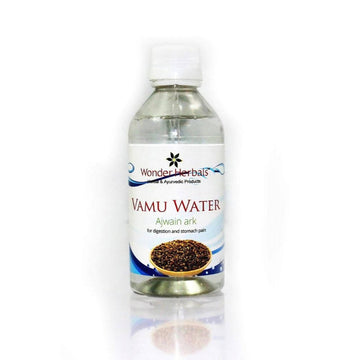 https://cdn.shopify.com/s/files/1/1857/6931/products/GXso6MYuWs.jpg?v=1643690668