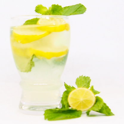 https://cdn.shopify.com/s/files/1/1857/6931/files/GYfSuvnJ8T.png?v=1774695087
