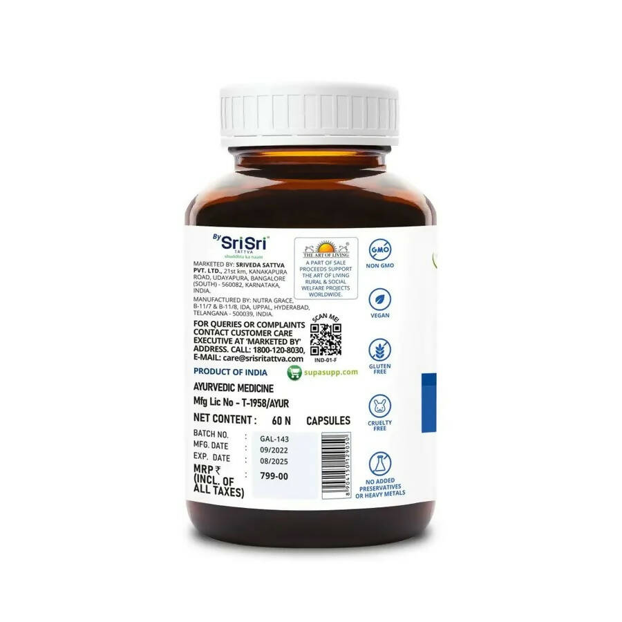 https://cdn.shopify.com/s/files/1/1857/6931/products/GZo3XjLQVb.jpg?v=1665491809