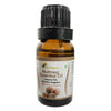 https://cdn.shopify.com/s/files/1/1857/6931/products/GaXvSpCumI.jpg?v=1643892748