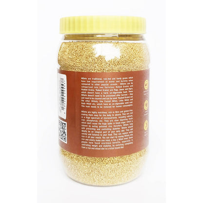 https://cdn.shopify.com/s/files/1/1857/6931/products/GacYlffOhE.jpg?v=1630031489