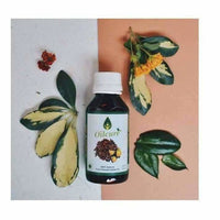 https://cdn.shopify.com/s/files/1/1857/6931/products/GaiTaYkCAP.jpg?v=1619964014