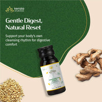 https://cdn.shopify.com/s/files/1/1857/6931/files/Gandharvahasthadi_Castor_Oil_Kerala_Ayurveda_USA.jpg?v=1773821382