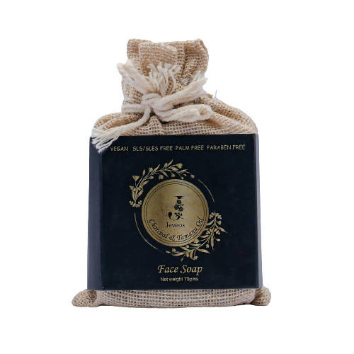 https://cdn.shopify.com/s/files/1/1857/6931/products/GaoqYestYZ.jpg?v=1656572147