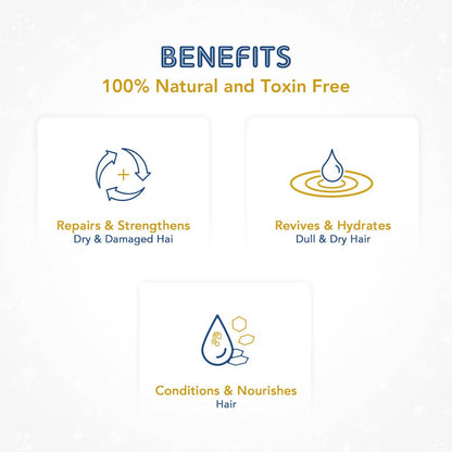 https://cdn.shopify.com/s/files/1/1857/6931/products/GbIjH0TpDj.jpg?v=1620283950
