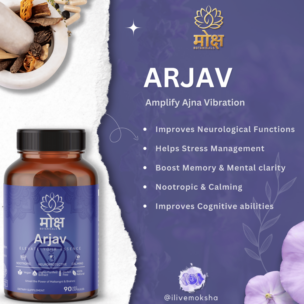 https://cdn.shopify.com/s/files/1/1857/6931/files/GcmDj5sKmT.png?v=1728048511