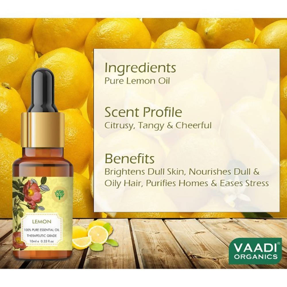 https://cdn.shopify.com/s/files/1/1857/6931/products/Ggaz4DGdOT.jpg?v=1618540028