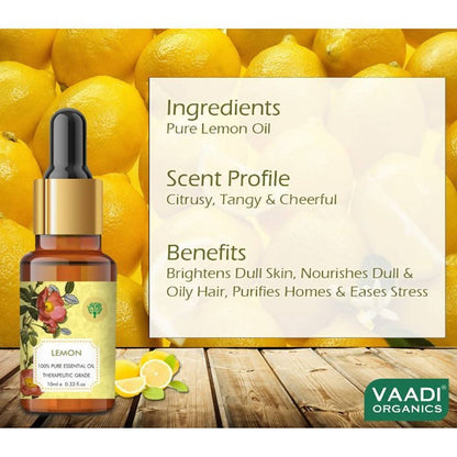 https://cdn.shopify.com/s/files/1/1857/6931/products/Ggaz4DGdOT.jpg?v=1618540028