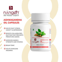 https://cdn.shopify.com/s/files/1/1857/6931/products/Gh19AfvrGc.jpg?v=1666419858