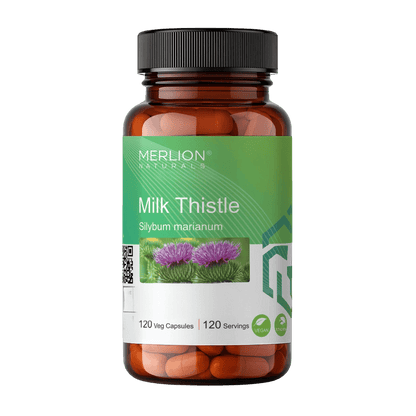 https://cdn.shopify.com/s/files/1/1857/6931/files/Ginger_Tablets_120_Tablets_Merlion_Naturals_1.png?v=1782529722