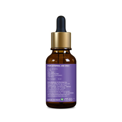 https://cdn.shopify.com/s/files/1/1857/6931/files/GjnZ3g2HKS.jpg?v=1713361475