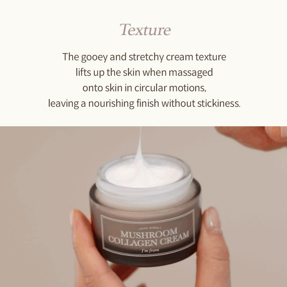 https://cdn.shopify.com/s/files/1/1857/6931/files/GkztoLZW6C.png?v=1731144781