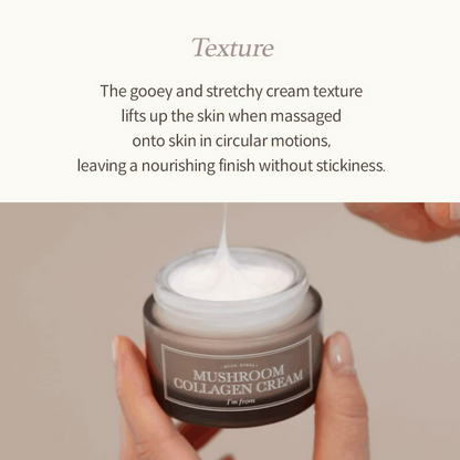 https://cdn.shopify.com/s/files/1/1857/6931/files/GkztoLZW6C.png?v=1731144781