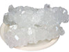 https://cdn.shopify.com/s/files/1/1857/6931/products/Glnf2vOyiT.jpg?v=1762289849