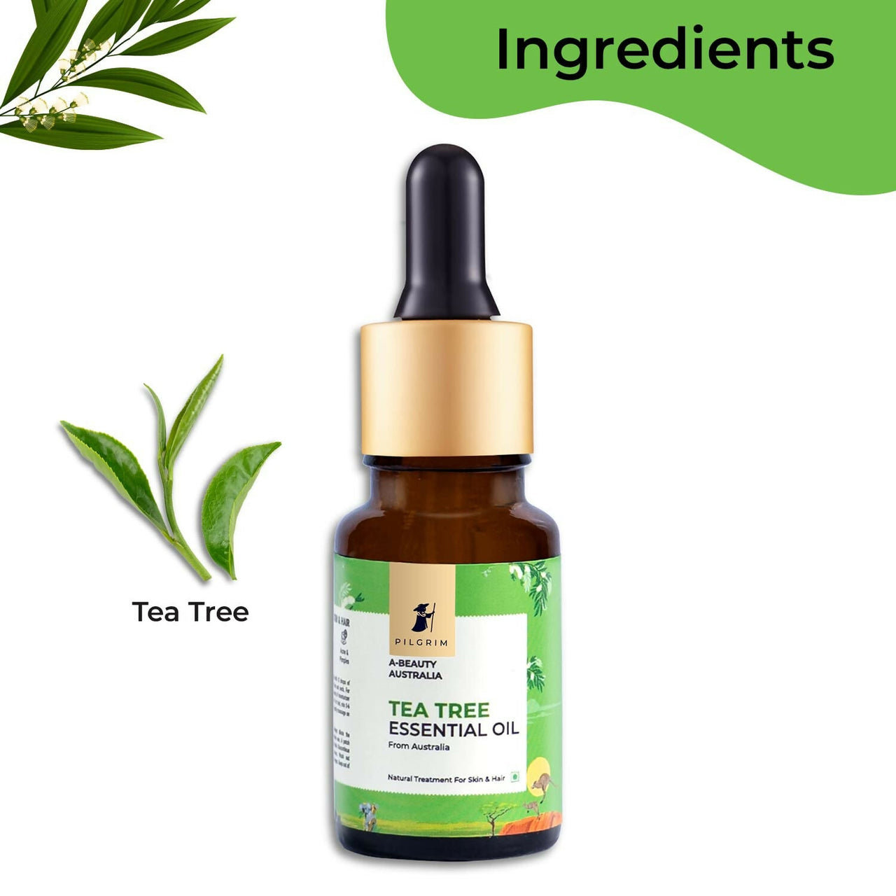 https://cdn.shopify.com/s/files/1/1857/6931/files/GoLTvf76iJ.jpg?v=1716354505