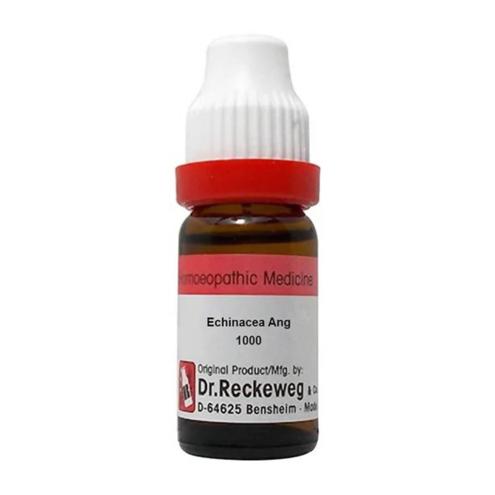 https://cdn.shopify.com/s/files/1/1857/6931/products/Gp9FPglJfz.jpg?v=1661146858