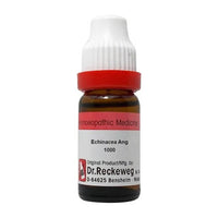 https://cdn.shopify.com/s/files/1/1857/6931/products/Gp9FPglJfz.jpg?v=1661146858
