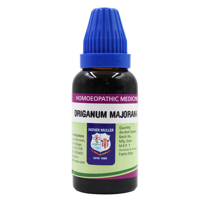 https://cdn.shopify.com/s/files/1/1857/6931/files/GrdvJl8dRv.jpg?v=1717141253