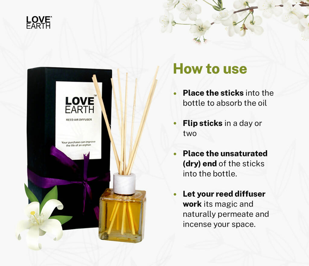 https://cdn.shopify.com/s/files/1/1857/6931/products/GroFtjIqKM.jpg?v=1665840599