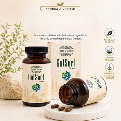 https://cdn.shopify.com/s/files/1/1857/6931/files/GutSort_-_Image_1-Photoroom.png?v=1782538274