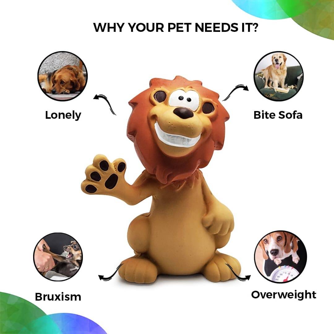 https://cdn.shopify.com/s/files/1/1857/6931/products/Gv6vXkLw1b.jpg?v=1706852168