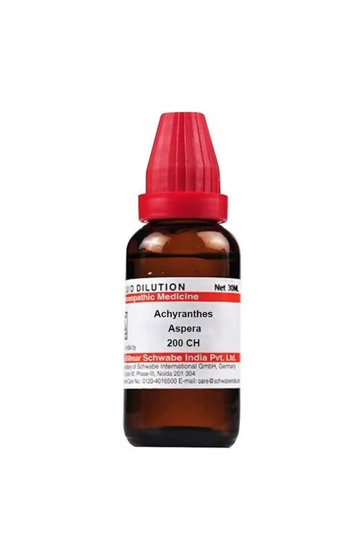 https://cdn.shopify.com/s/files/1/1857/6931/products/GvRJHeHwej.jpg?v=1640859694