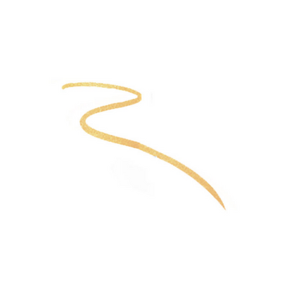 https://cdn.shopify.com/s/files/1/1857/6931/files/GvSeVin2nS.png?v=1725020204