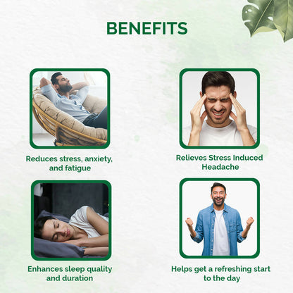 https://cdn.shopify.com/s/files/1/1857/6931/products/GvocohzBF1.jpg?v=1670491029