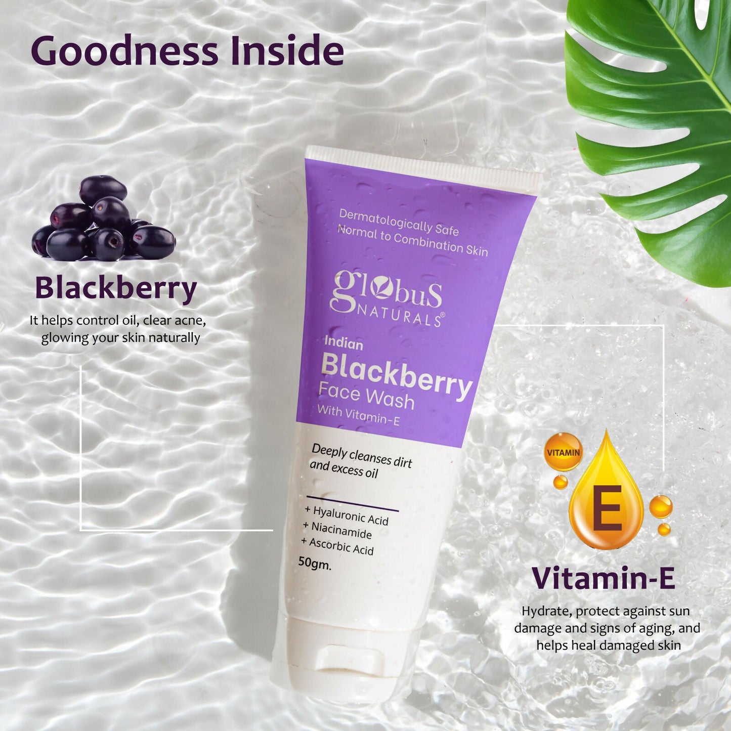 https://cdn.shopify.com/s/files/1/1857/6931/files/GvtwOaWhlK.jpg?v=1758880953