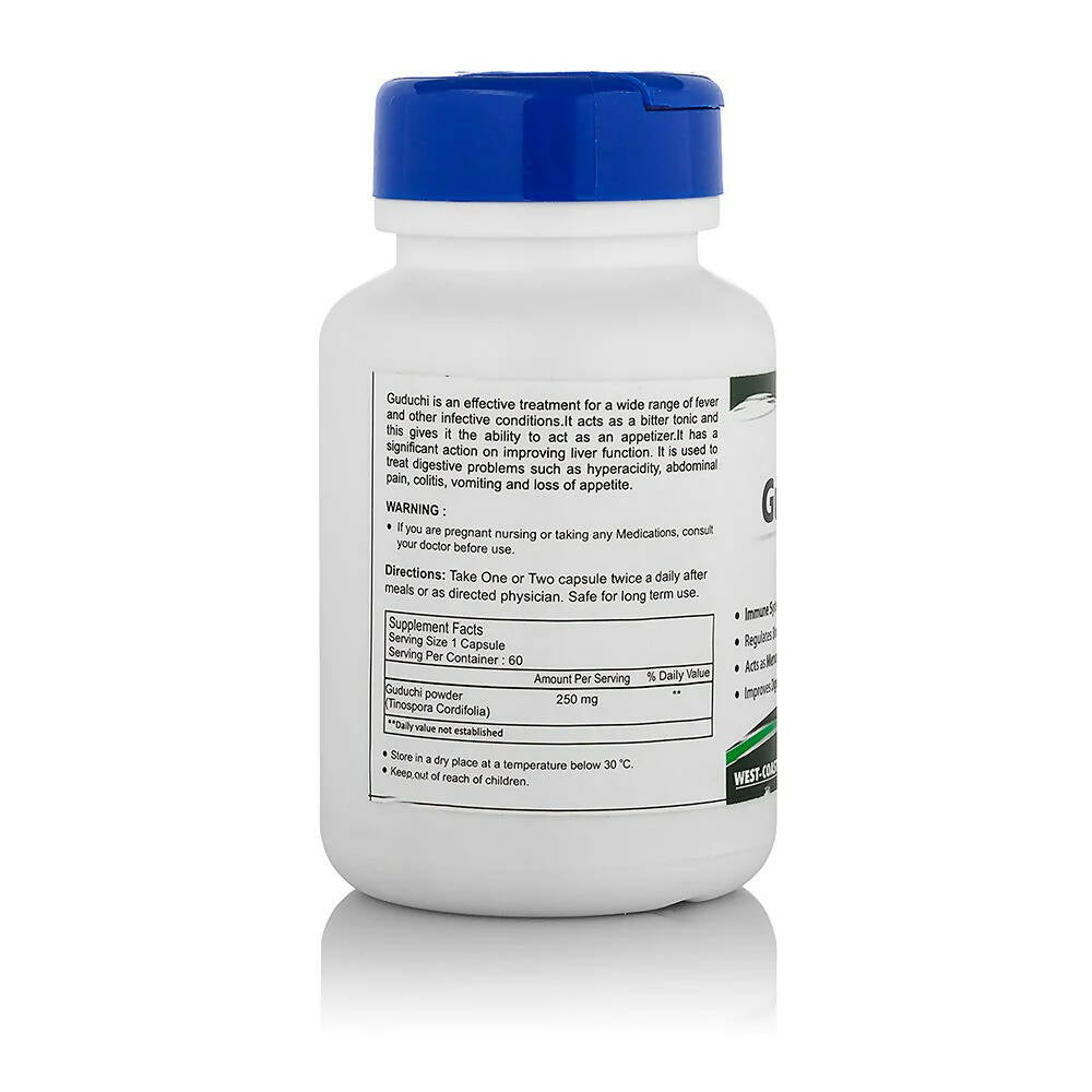 https://cdn.shopify.com/s/files/1/1857/6931/products/GxLYkqqIox.jpg?v=1669983524