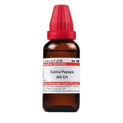 https://cdn.shopify.com/s/files/1/1857/6931/products/GxX73shyTy.jpg?v=1641298867
