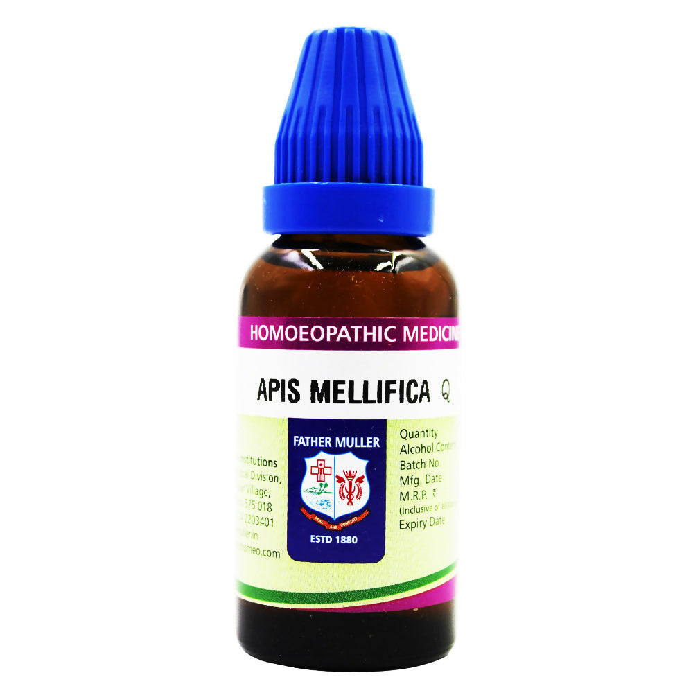 https://cdn.shopify.com/s/files/1/1857/6931/files/GxhxrnL0Qm.jpg?v=1718255932
