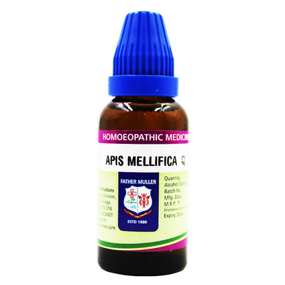 https://cdn.shopify.com/s/files/1/1857/6931/files/GxhxrnL0Qm.jpg?v=1718255932