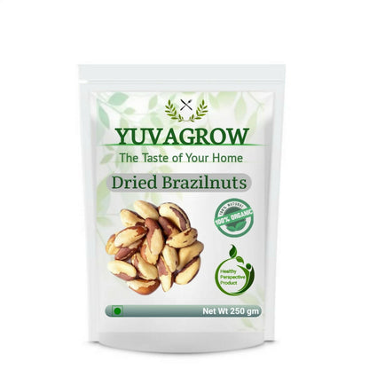 https://cdn.shopify.com/s/files/1/1857/6931/products/Gy4utQtQ8D.jpg?v=1762387394