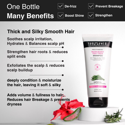 https://cdn.shopify.com/s/files/1/1857/6931/products/GyfQY4iHjy.png?v=1698738337