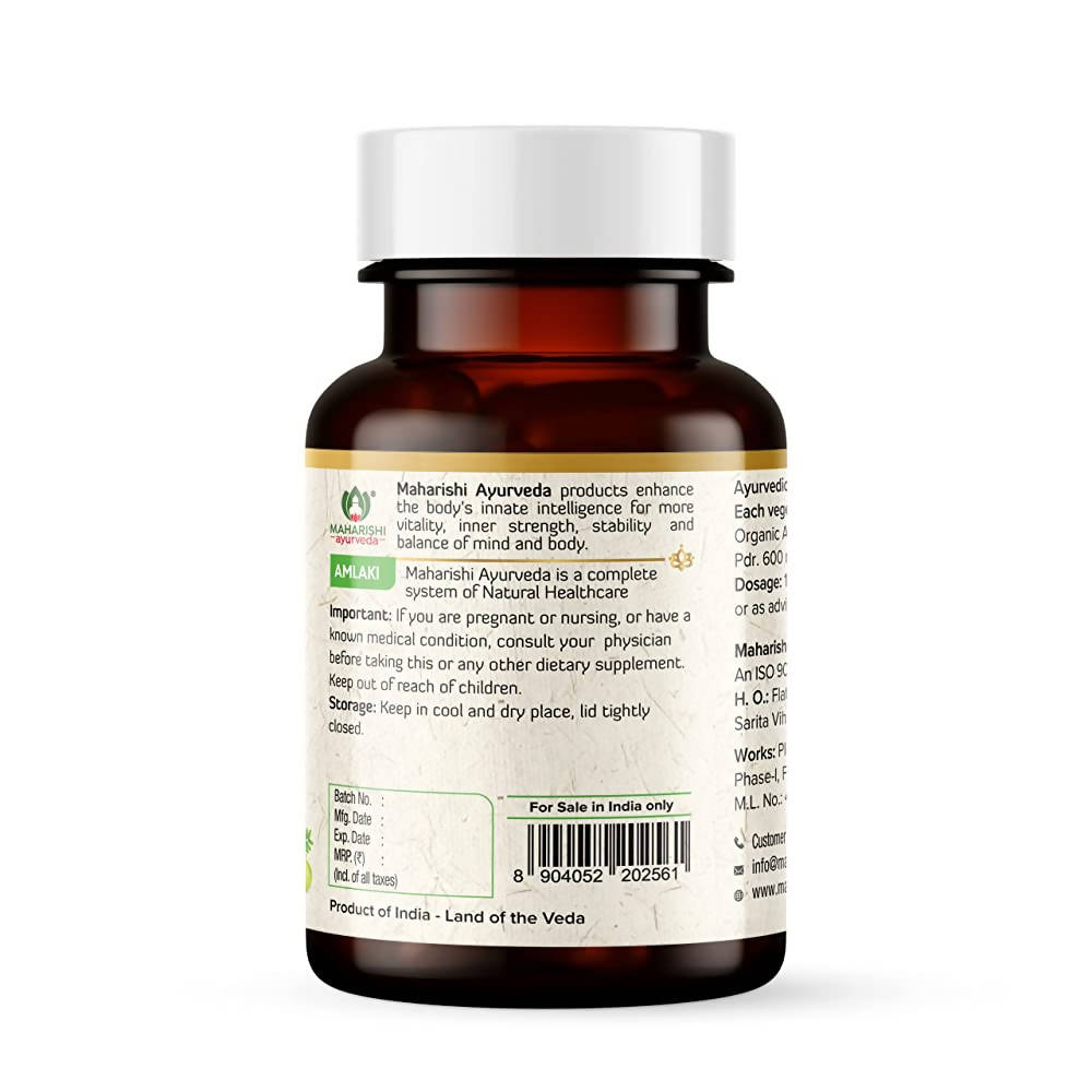https://cdn.shopify.com/s/files/1/1857/6931/products/GzyXyyYMZ5.jpg?v=1660028396