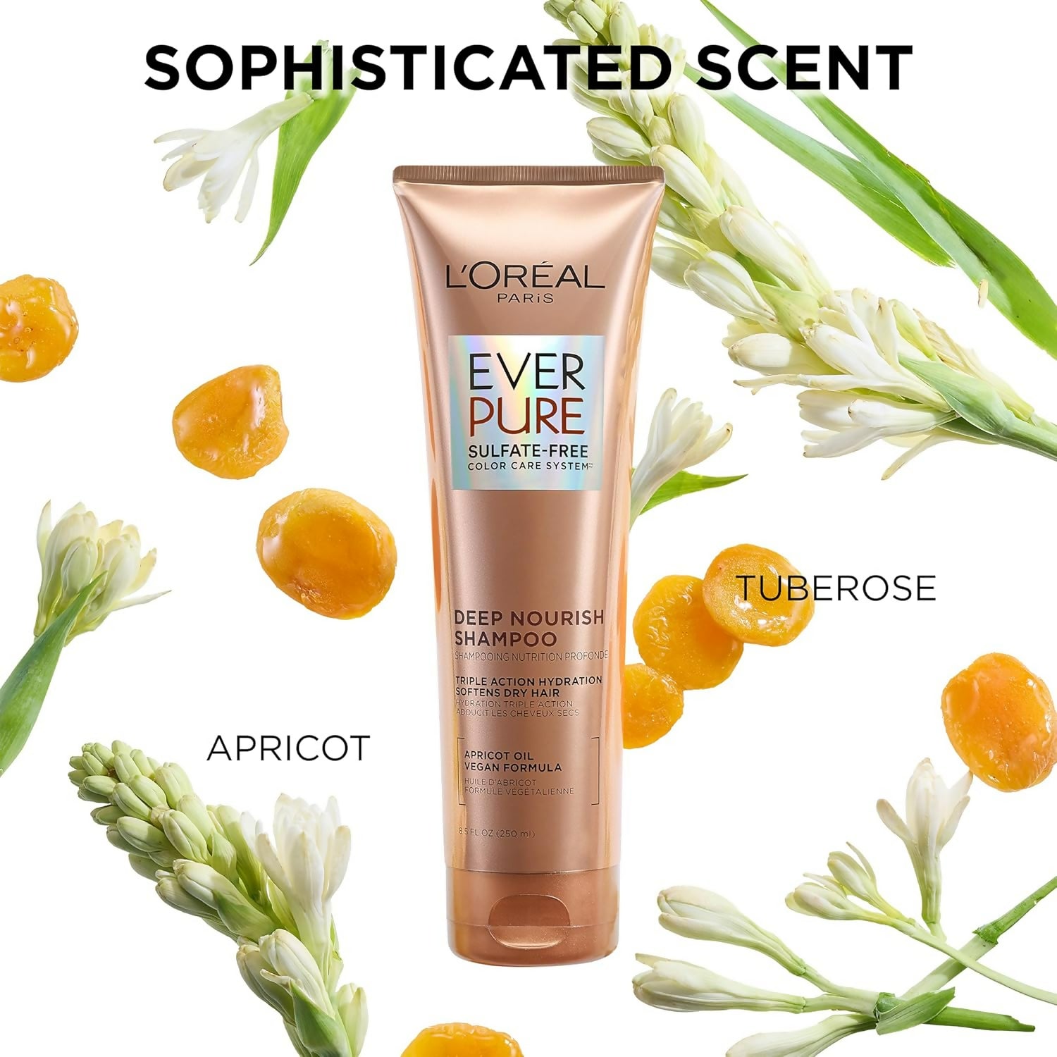 https://cdn.shopify.com/s/files/1/1857/6931/files/H0ZKzUMahy.jpg?v=1735015894