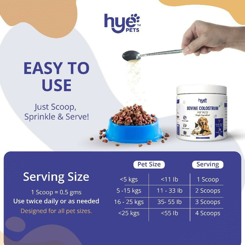 https://cdn.shopify.com/s/files/1/1857/6931/files/H0fn7NxNqC.jpg?v=1767688333