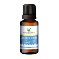 https://cdn.shopify.com/s/files/1/1857/6931/products/H1pvLtUxXn.jpg?v=1762343930