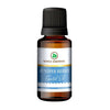 https://cdn.shopify.com/s/files/1/1857/6931/products/H1pvLtUxXn.jpg?v=1762343930