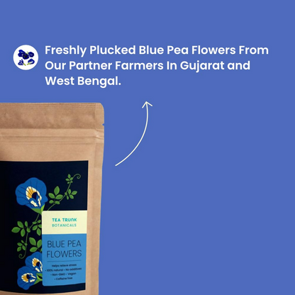 https://cdn.shopify.com/s/files/1/1857/6931/files/H2dToz7RRA.png?v=1737375114